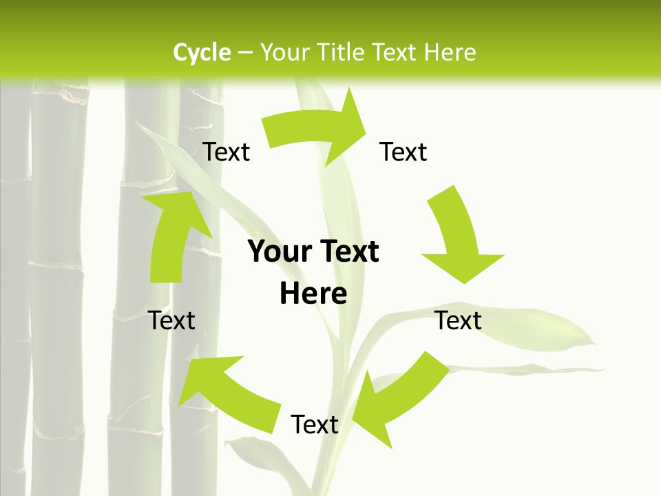 Decoration Life Isolate PowerPoint Template