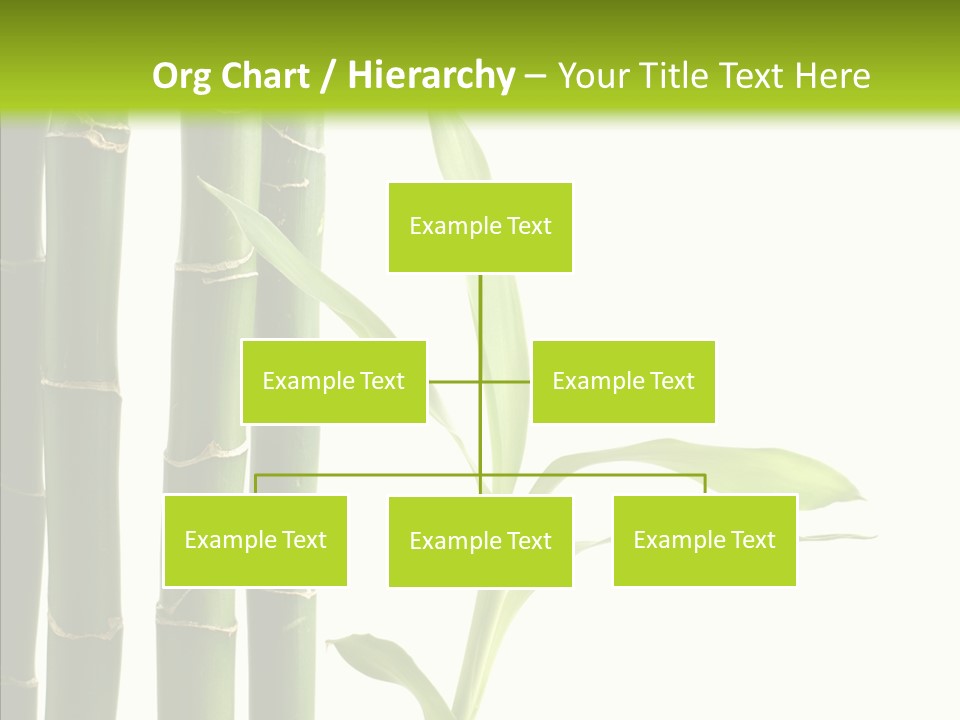 Decoration Life Isolate PowerPoint Template