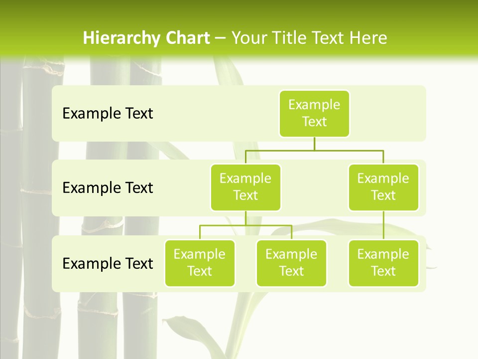 Decoration Life Isolate PowerPoint Template