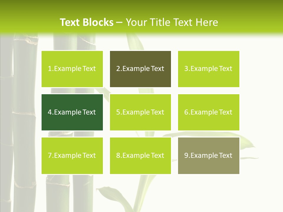 Decoration Life Isolate PowerPoint Template