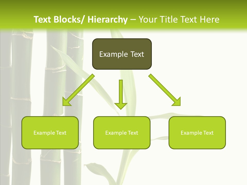Decoration Life Isolate PowerPoint Template