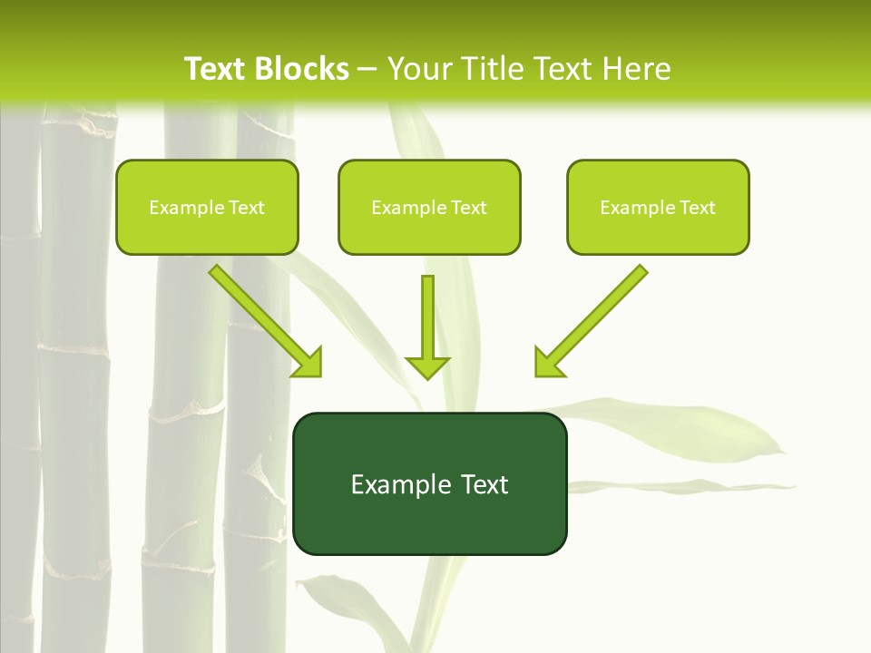 Decoration Life Isolate PowerPoint Template