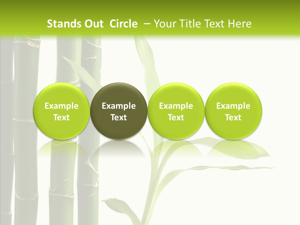 Decoration Life Isolate PowerPoint Template