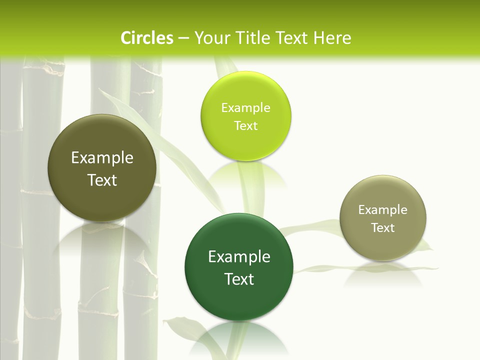 Decoration Life Isolate PowerPoint Template