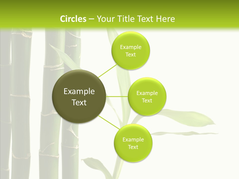 Decoration Life Isolate PowerPoint Template