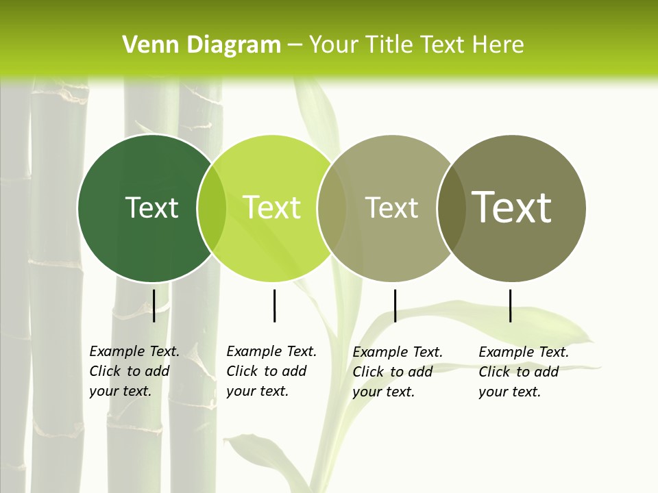 Decoration Life Isolate PowerPoint Template