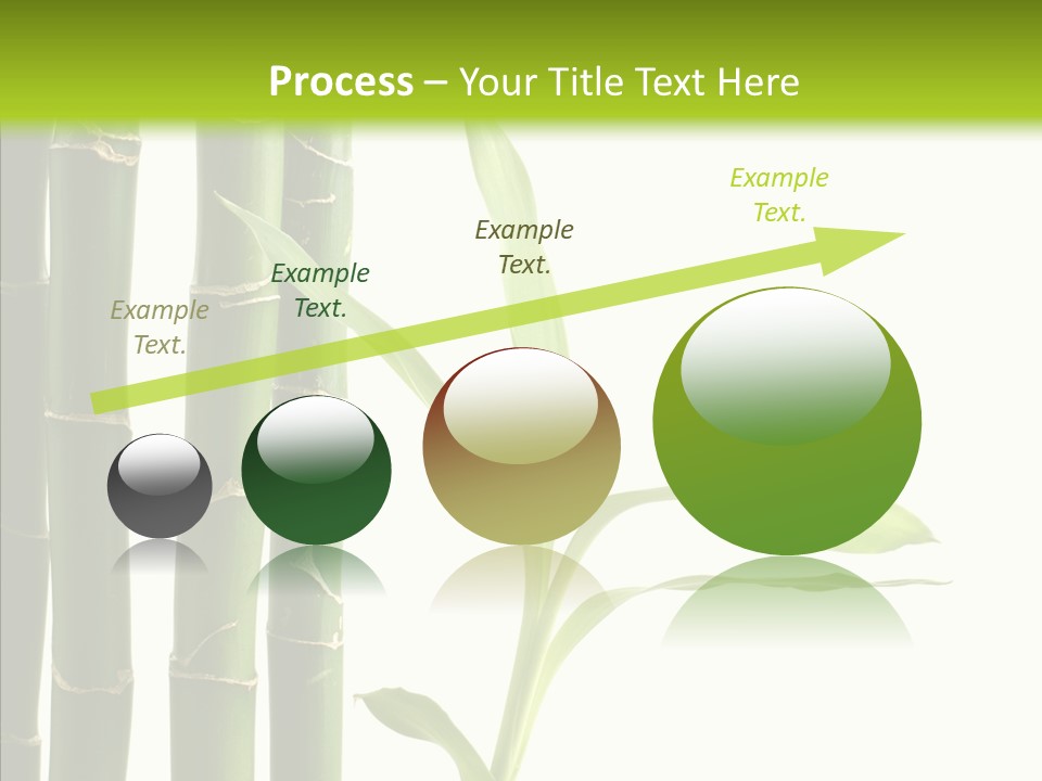 Decoration Life Isolate PowerPoint Template