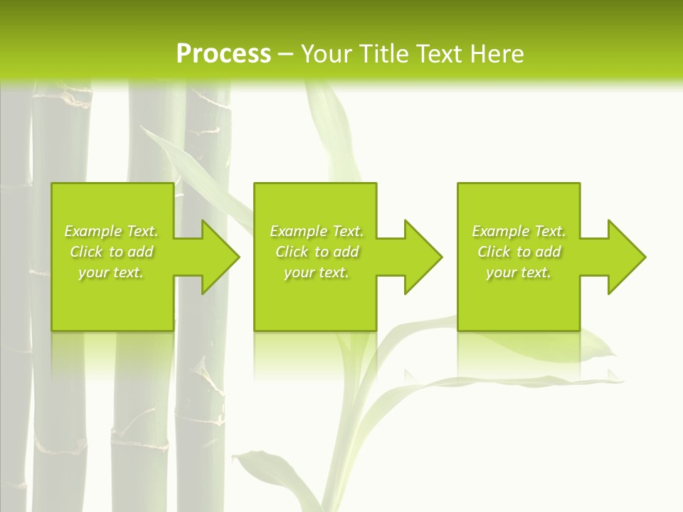 Decoration Life Isolate PowerPoint Template