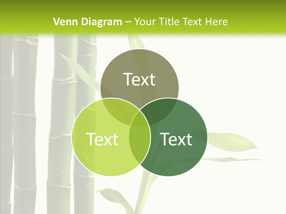 Decoration Life Isolate PowerPoint Template