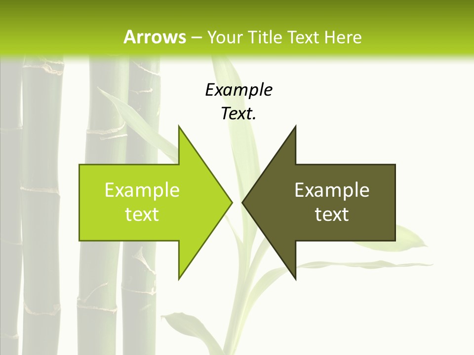 Decoration Life Isolate PowerPoint Template