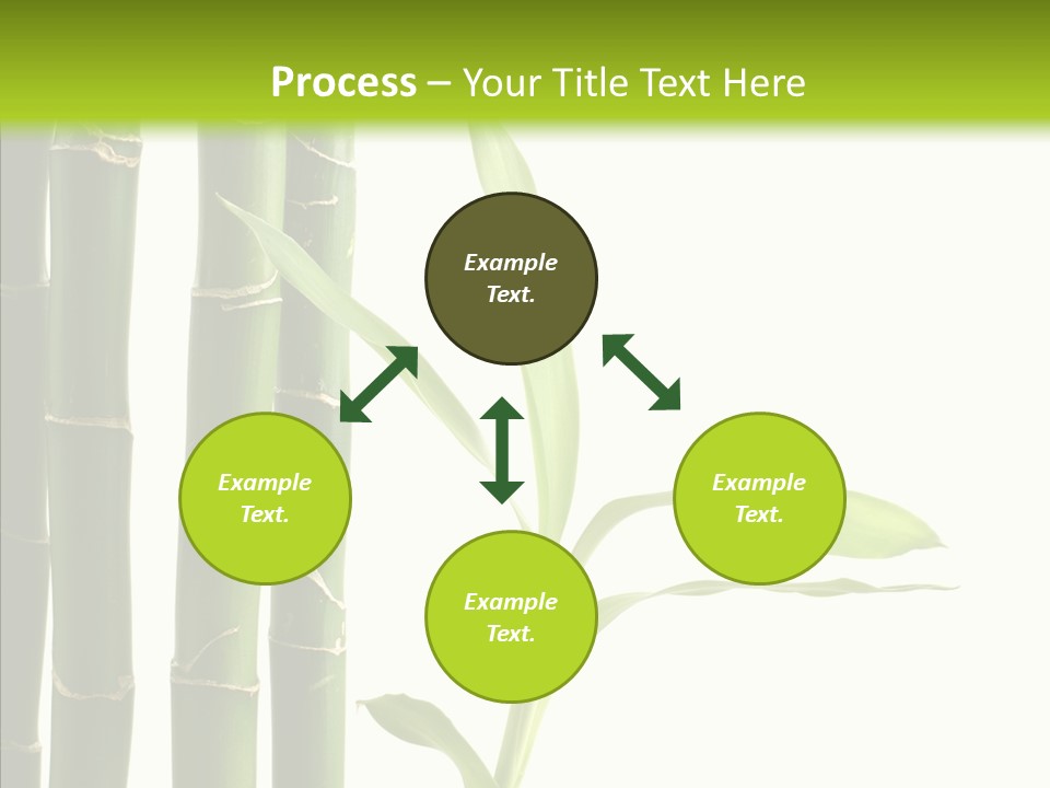 Decoration Life Isolate PowerPoint Template