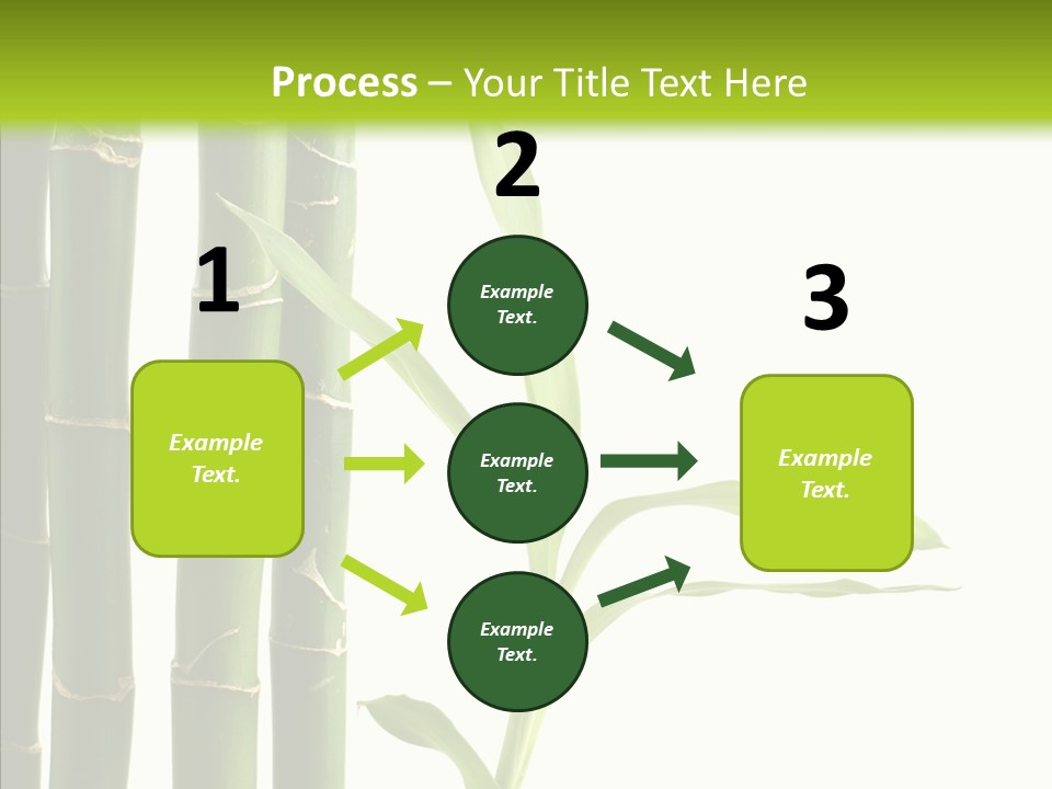 Decoration Life Isolate PowerPoint Template