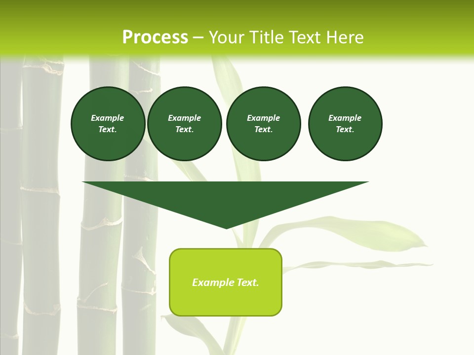 Decoration Life Isolate PowerPoint Template