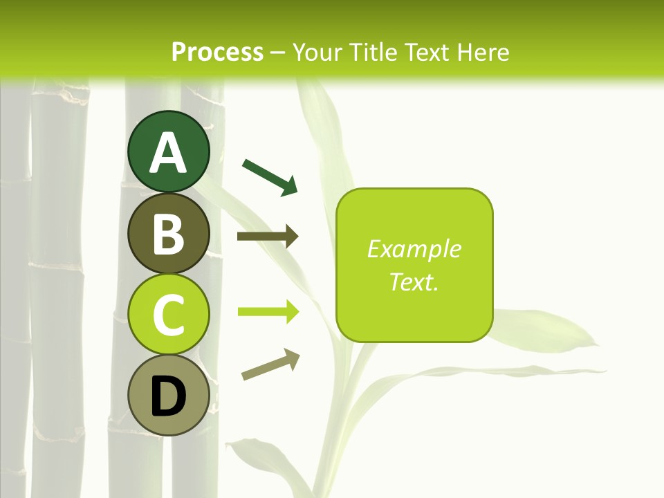 Decoration Life Isolate PowerPoint Template
