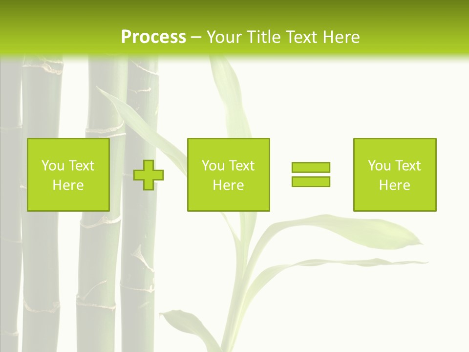 Decoration Life Isolate PowerPoint Template