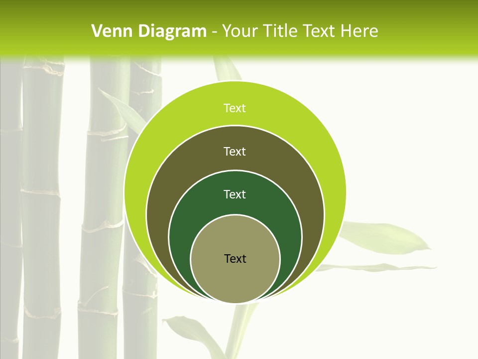 Decoration Life Isolate PowerPoint Template
