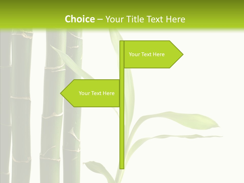 Decoration Life Isolate PowerPoint Template