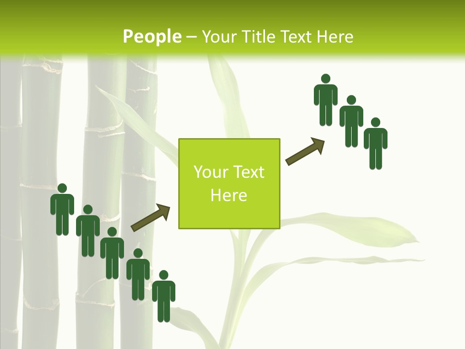 Decoration Life Isolate PowerPoint Template