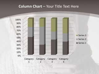 Toned Vertical Confident PowerPoint Template