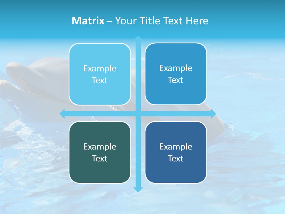 Sonar Porous Jaws PowerPoint Template