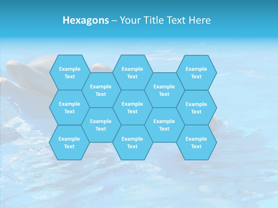 Sonar Porous Jaws PowerPoint Template