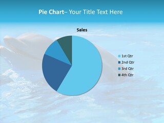 Sonar Porous Jaws PowerPoint Template