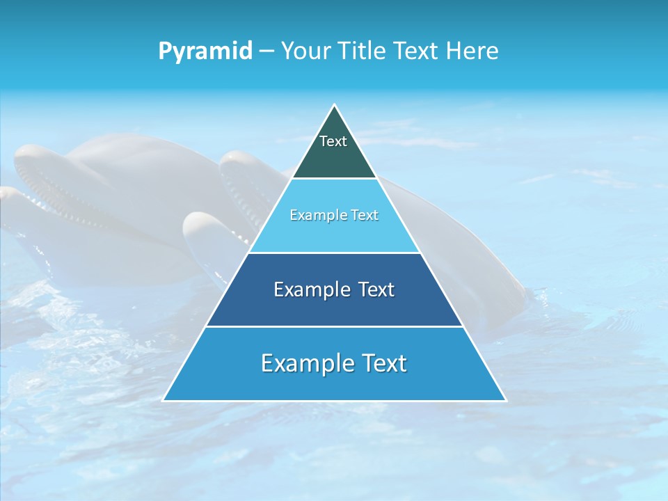Sonar Porous Jaws PowerPoint Template