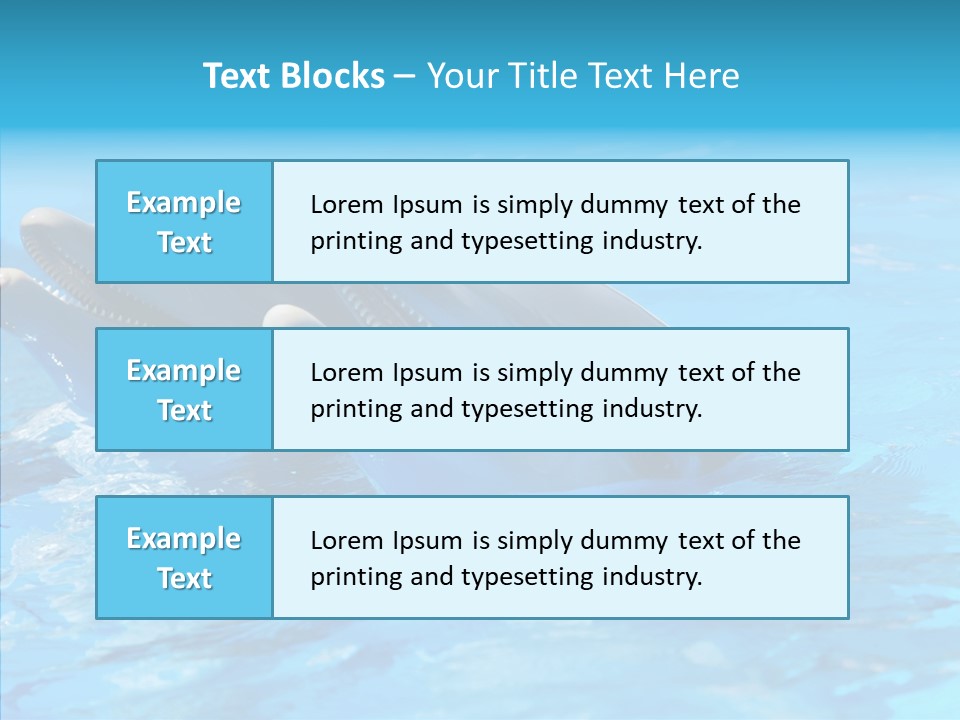 Sonar Porous Jaws PowerPoint Template