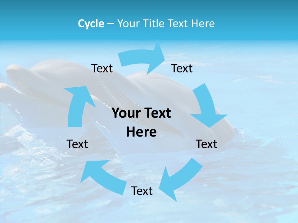 Sonar Porous Jaws PowerPoint Template