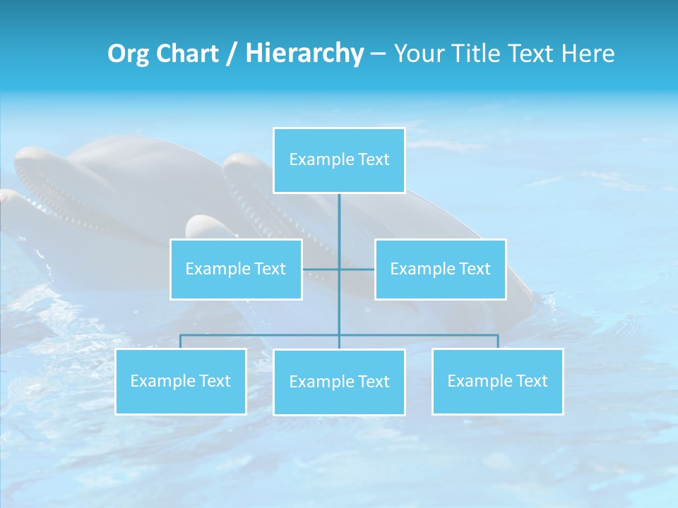 Sonar Porous Jaws PowerPoint Template
