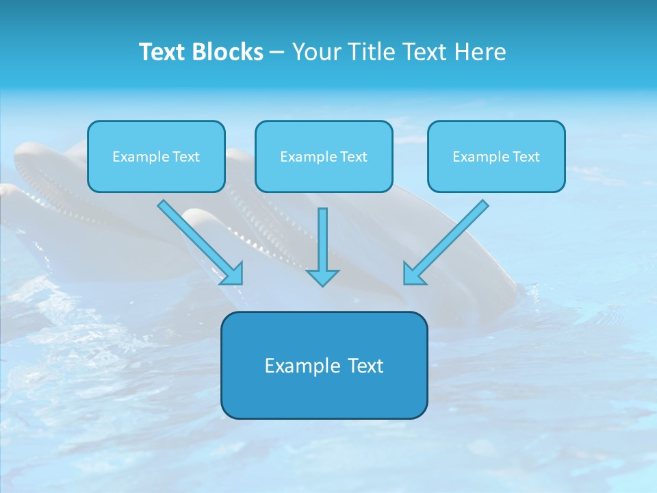Sonar Porous Jaws PowerPoint Template