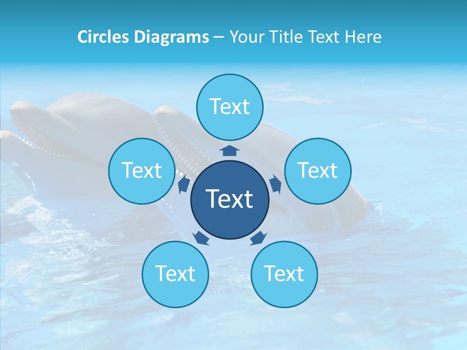 Sonar Porous Jaws PowerPoint Template