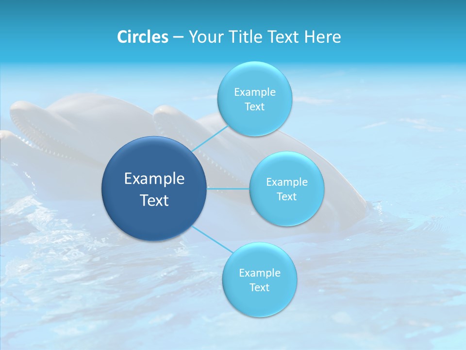 Sonar Porous Jaws PowerPoint Template