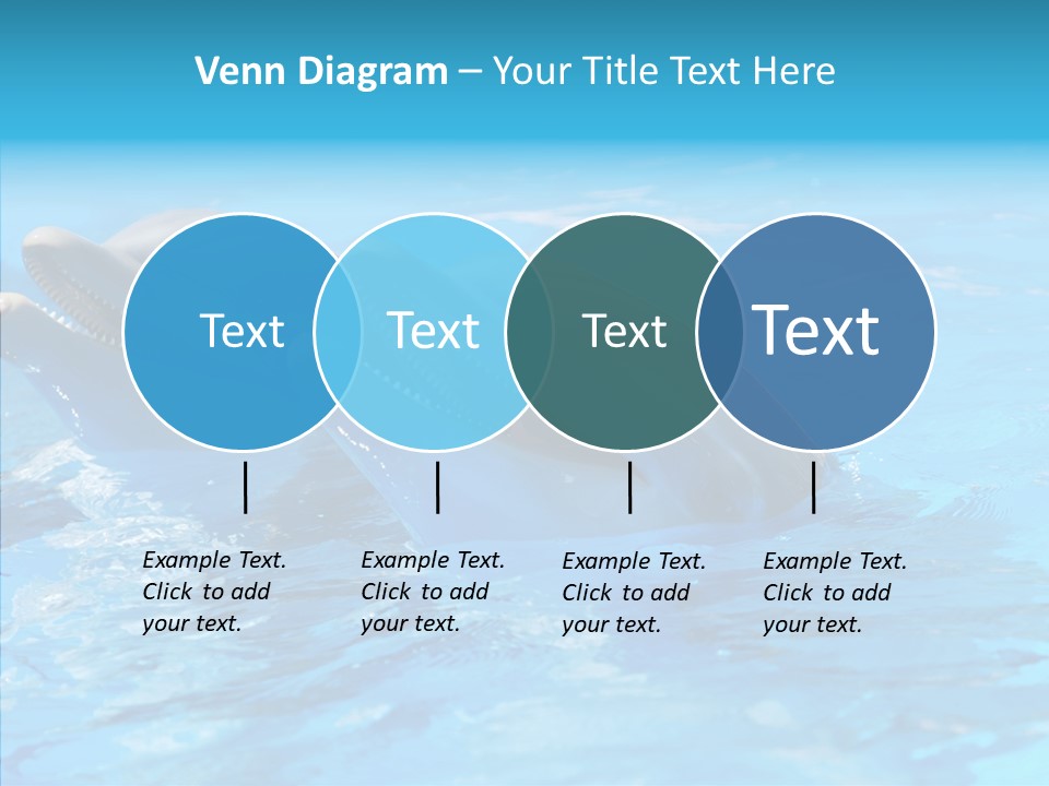 Sonar Porous Jaws PowerPoint Template