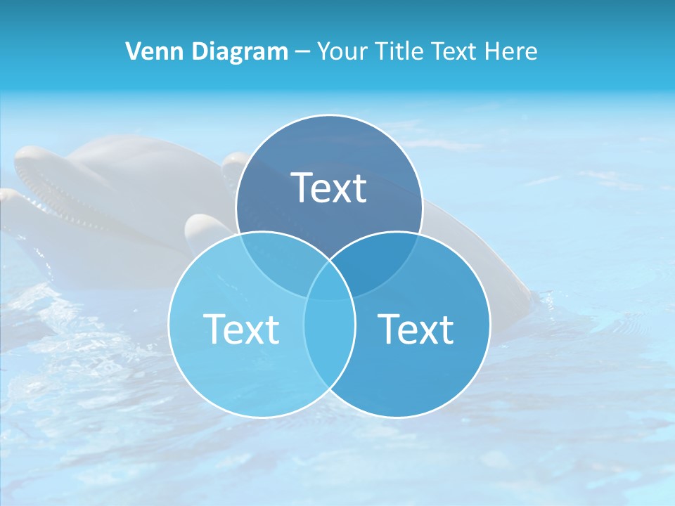 Sonar Porous Jaws PowerPoint Template
