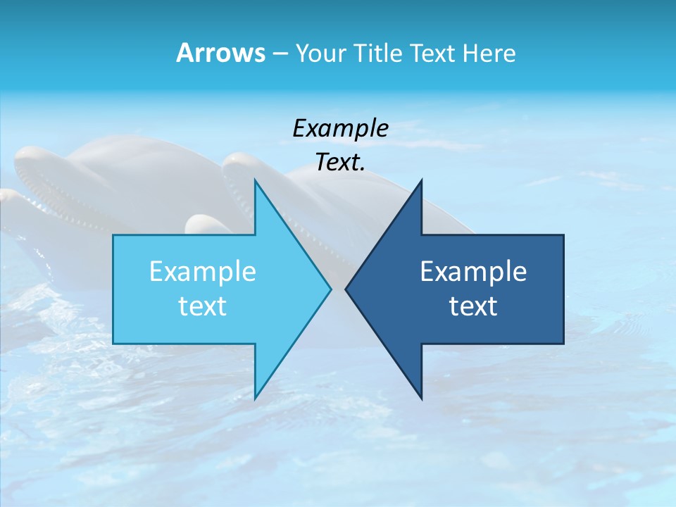 Sonar Porous Jaws PowerPoint Template