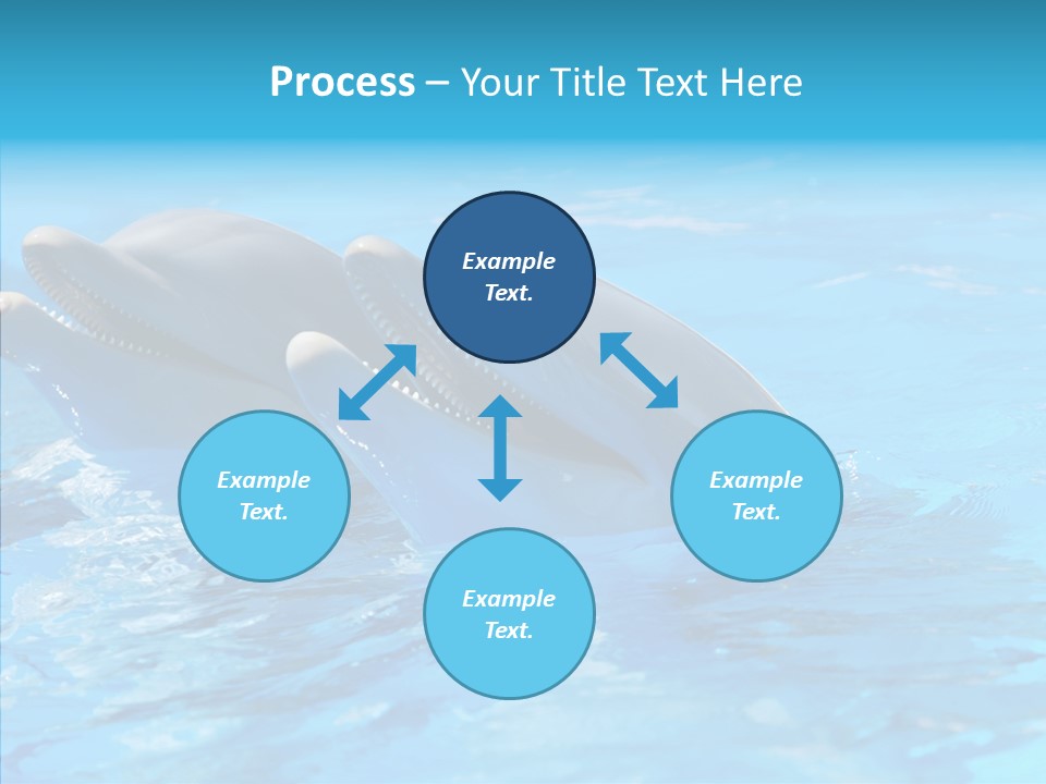 Sonar Porous Jaws PowerPoint Template