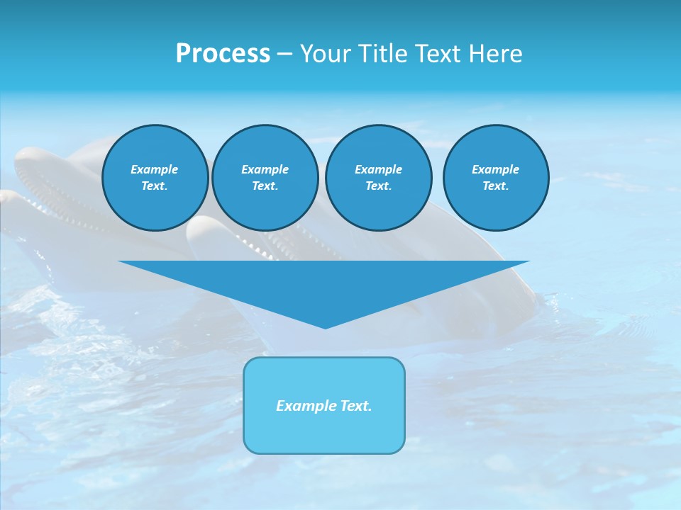 Sonar Porous Jaws PowerPoint Template