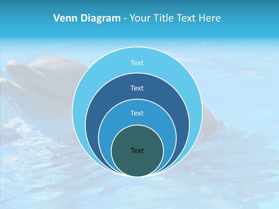 Sonar Porous Jaws PowerPoint Template