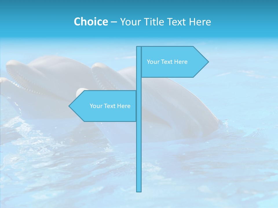 Sonar Porous Jaws PowerPoint Template
