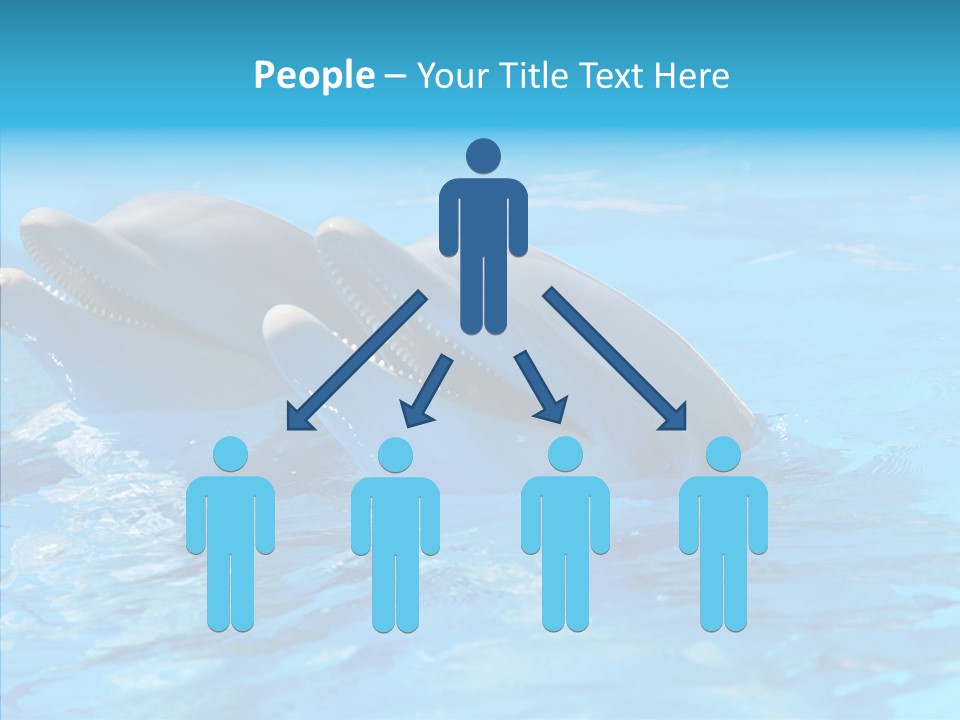 Sonar Porous Jaws PowerPoint Template