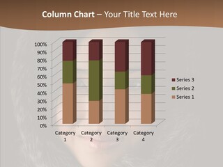 Treatment Make Up Key PowerPoint Template