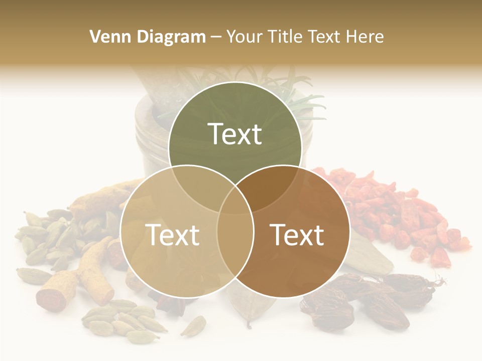 Studio Pestle Leaves PowerPoint Template