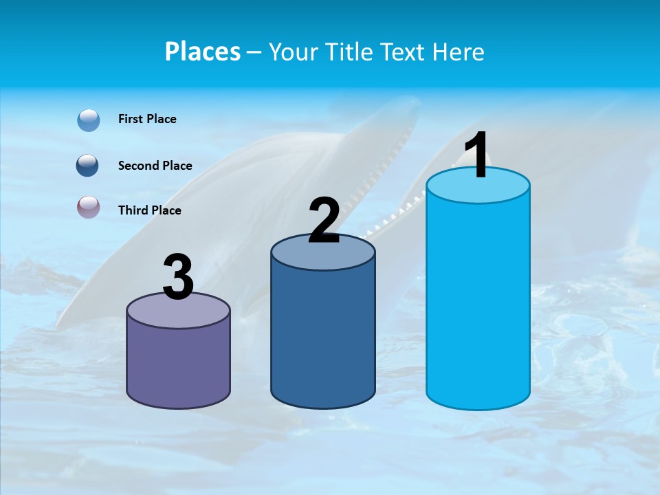 Flipper Dolphin Water PowerPoint Template