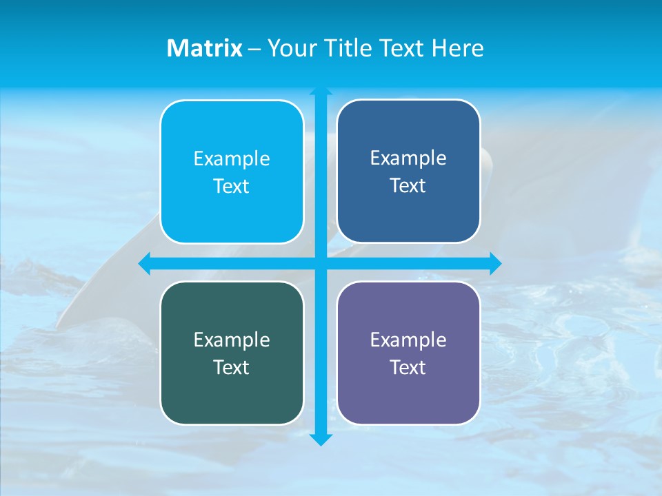 Flipper Dolphin Water PowerPoint Template