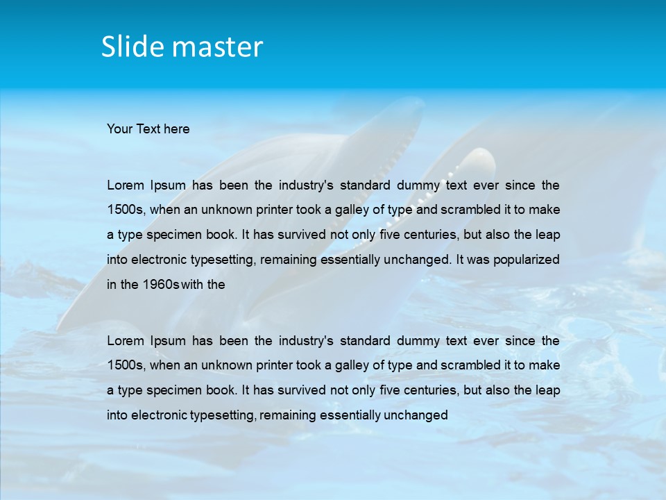 Flipper Dolphin Water PowerPoint Template