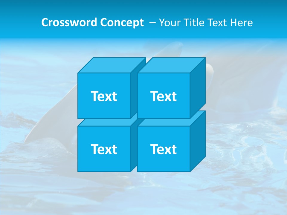 Flipper Dolphin Water PowerPoint Template