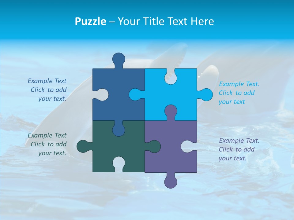 Flipper Dolphin Water PowerPoint Template