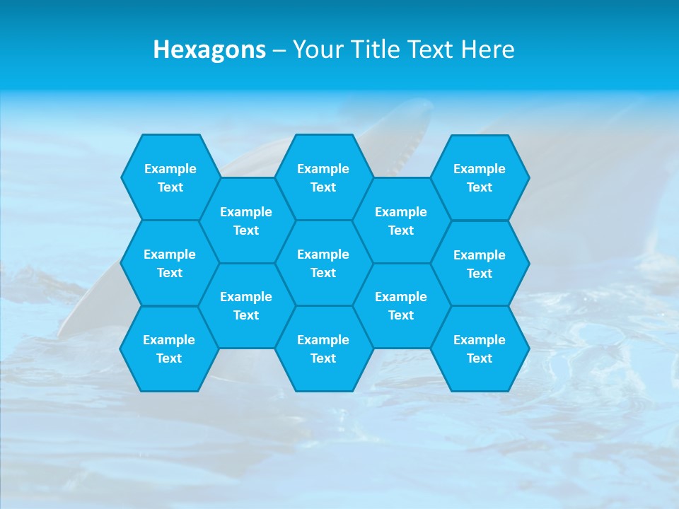 Flipper Dolphin Water PowerPoint Template