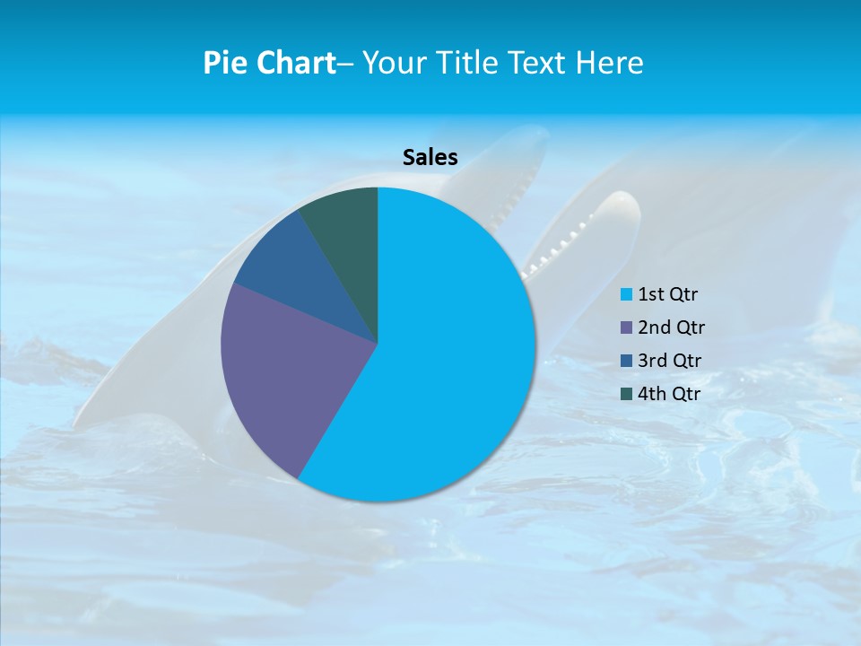 Flipper Dolphin Water PowerPoint Template
